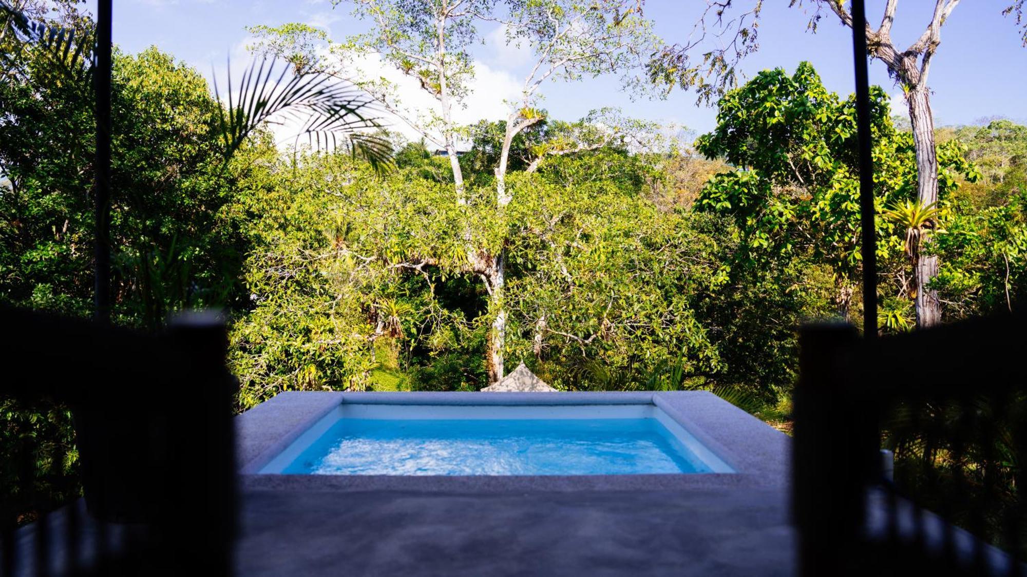 Casa Lamia Villa Manuel Antonio Luaran gambar